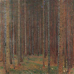 Tannenwald